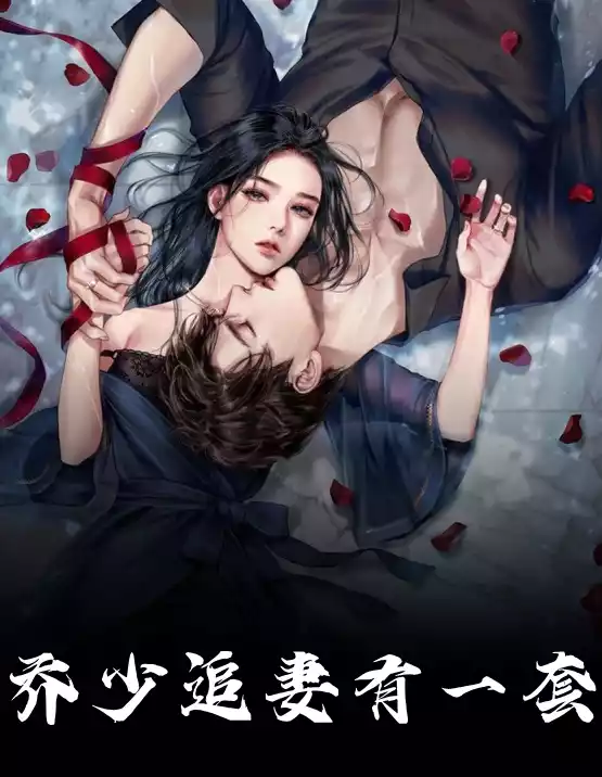 乔少追妻有一套小说