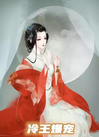 冷王爆宠小说