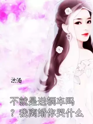不就是送辆车吗？我离婚你哭什么