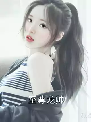 至尊龙帅小说