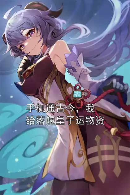 手机通古今，我给落魄皇子运物资小说