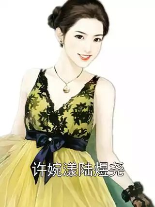 许婉漾陆煜尧小说