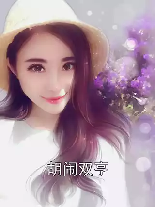 胡闹双亨小说
