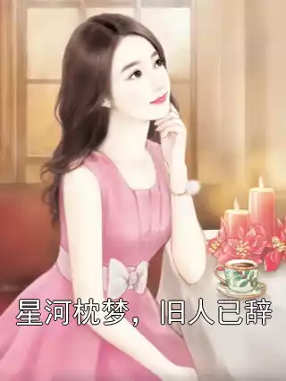 星河枕梦，旧人已辞小说