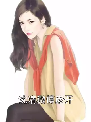 沈清微傅彦开小说