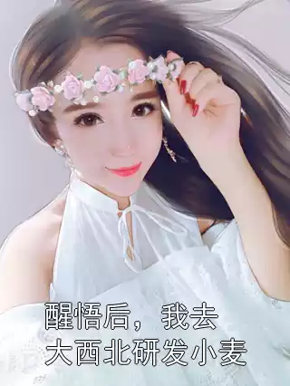 醒悟后，我去大西北研发小麦小说