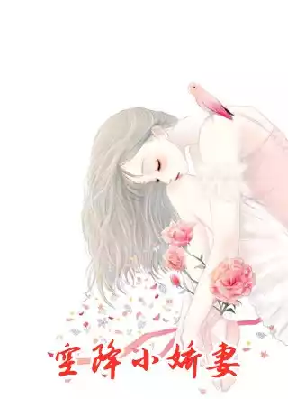 空降小娇妻小说