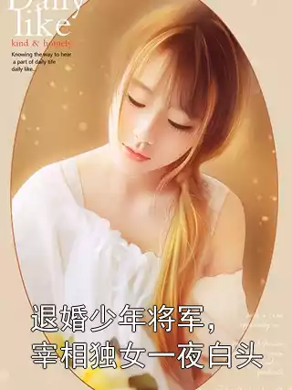 退婚少年将军，宰相独女一夜白头