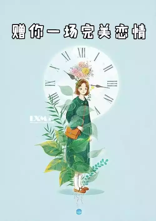 赠你一场完美恋情小说