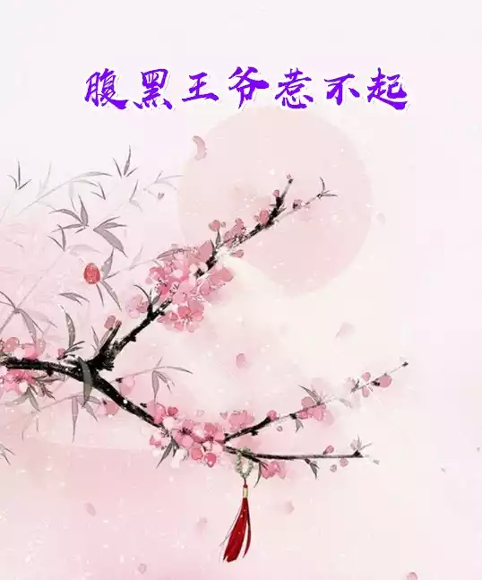 腹黑王爷惹不起