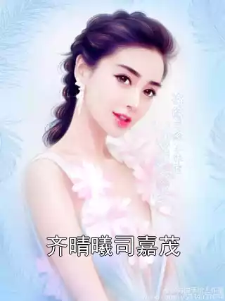 齐晴曦司嘉茂小说