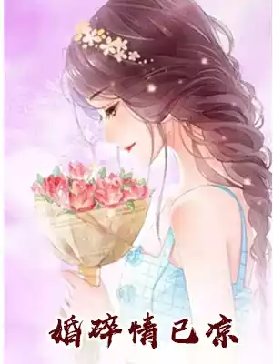 婚碎情已凉小说