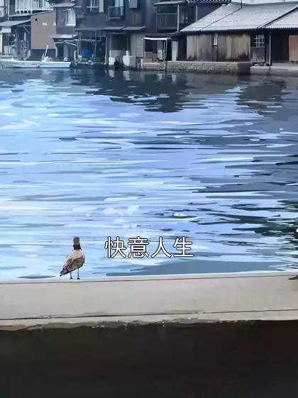 快意人生小说
