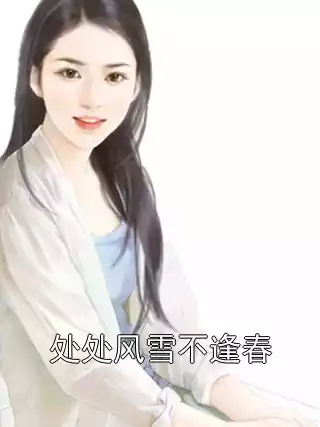 处处风雪不逢春小说