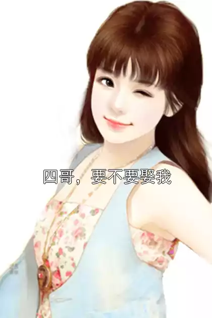 四哥，要不要娶我小说