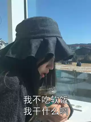 我不吃软饭我干什么啊小说