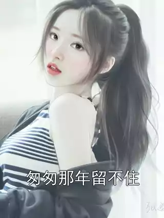 匆匆那年留不住小说