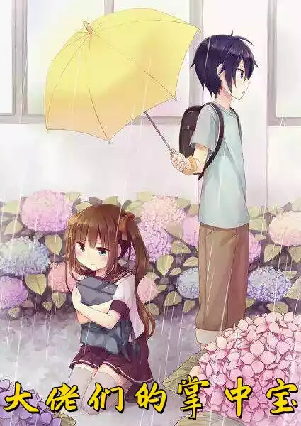 大佬们的掌中宝小说