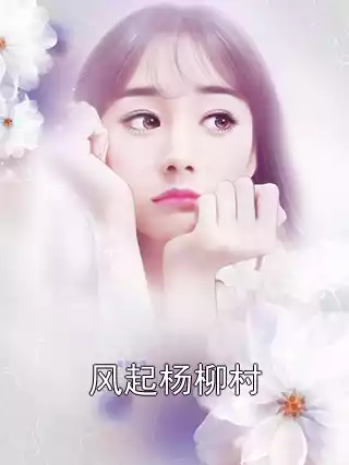 风起杨柳村小说