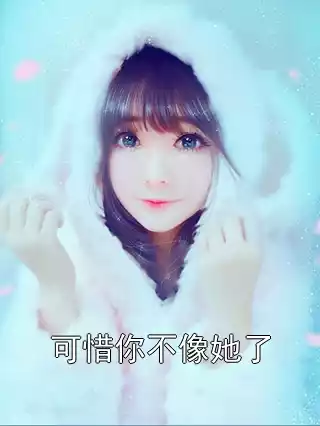 可惜你不像她了小说