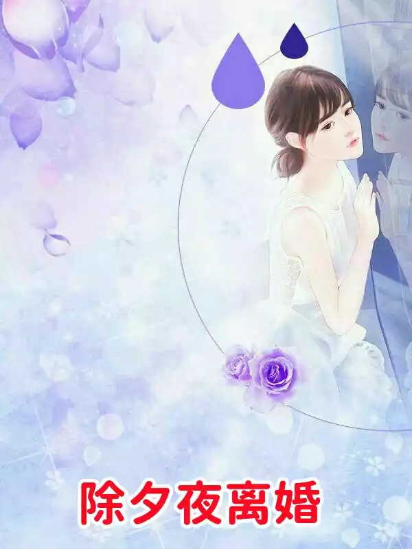 除夕夜离婚