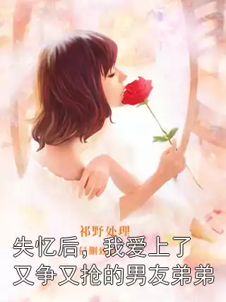 失忆后，我爱上了又争又抢的男友弟弟小说
