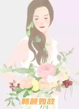 朝颜如故小说