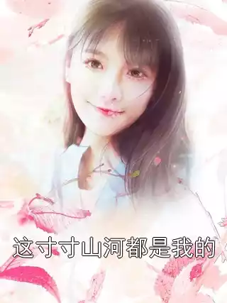 这寸寸山河都是我的小说