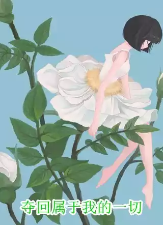 夺回属于我的一切小说
