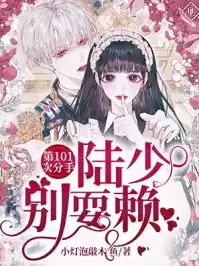 第101次分手陆少别耍赖小说