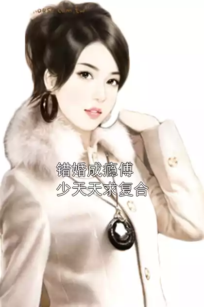 错婚成瘾傅少天天求复合小说