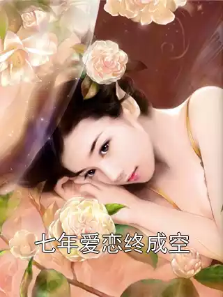 七年爱恋终成空小说