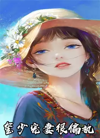 玺少宠妻很偏执