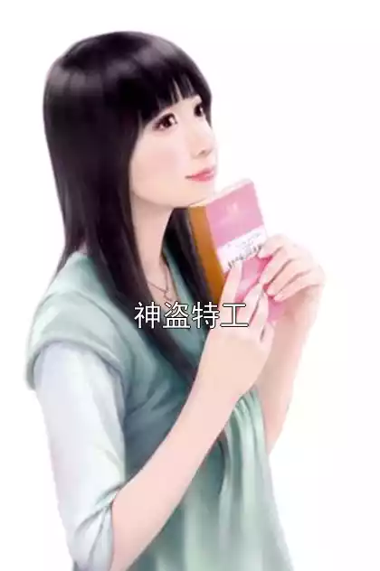 神盗特工小说
