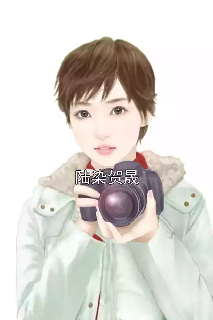 陆染贺晟小说