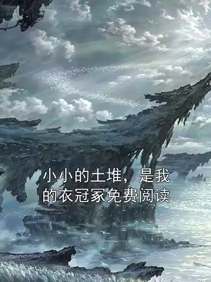 小小的土堆，是我的衣冠冢免费阅读小说