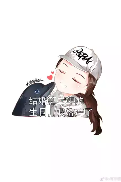 结婚第二年的生日，我流产了小说