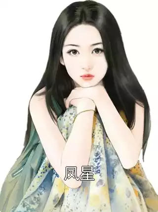 凤星小说