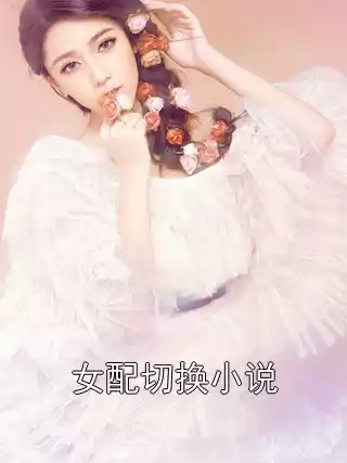 女配切换小说小说