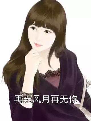再无风月再无你小说