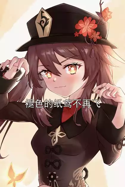 褪色的纸鸢不再飞小说