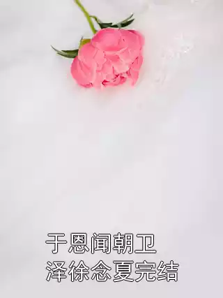 于恩闻朝卫泽徐念夏完结小说