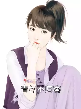 青衫不归客小说