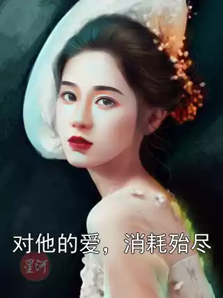 对他的爱，消耗殆尽小说