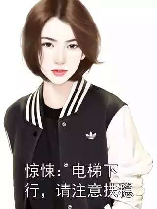 惊悚：电梯下行，请注意扶稳小说