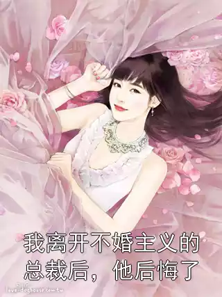 我离开不婚主义的总裁后，他后悔了小说