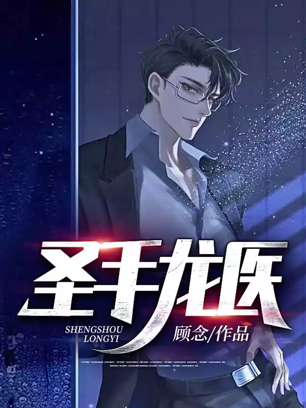 圣手龙医小说