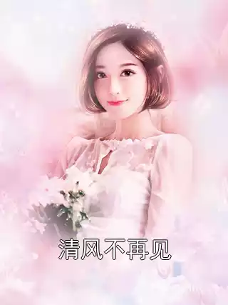 清风不再见小说