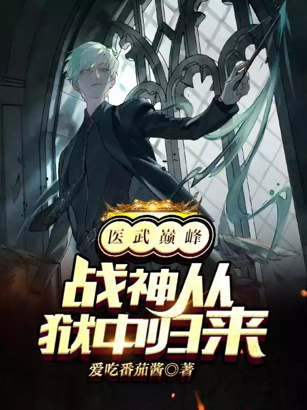 医武巅峰，战神从狱中归来小说
