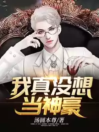 我真没想当神豪小说